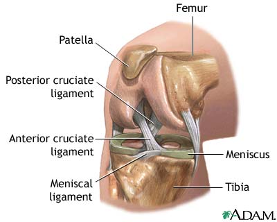 knee-arthroscopy-series