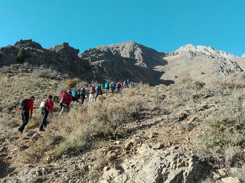 d8e43f32-06e0-4696-b081-940adfdcabad