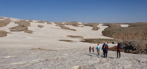 347656d4-ece2-4fd9-ab0e-b9f07e99ea8c