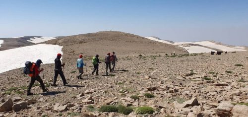 6a44b2cc-4188-456d-a7e5-3415c174fe18