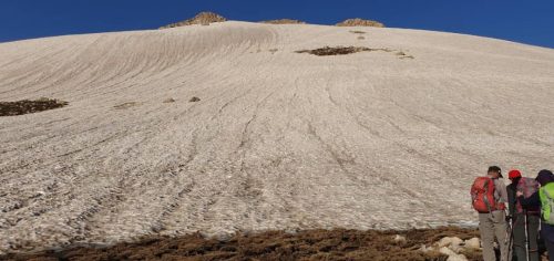 d423d06f-fc9d-4725-8f5b-13178d5acc1f